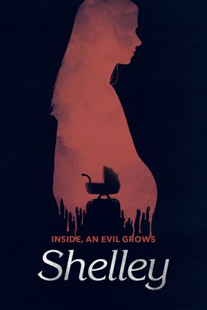 Shelley's poster