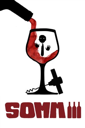 SOMM 3's poster