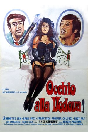 Occhio alla vedova!'s poster