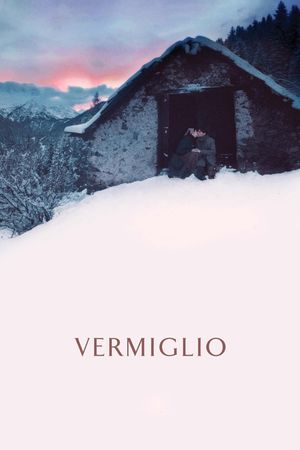 Vermiglio's poster