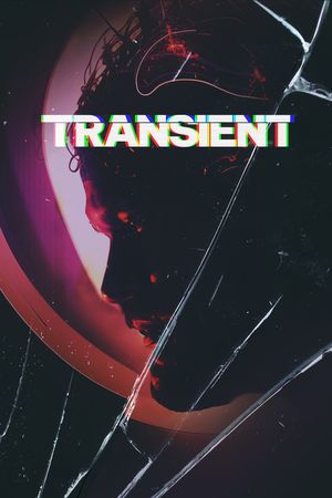 Transient's poster image