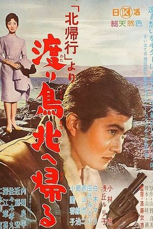 Kita kikô yori: Wataridori kita e kaeru's poster