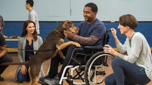 A Dog's Way Home's poster