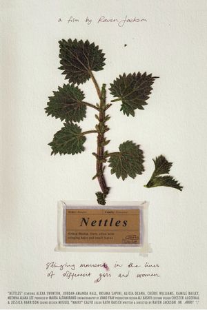 Nettles's poster