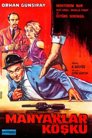 The Maniacs' Villa's poster