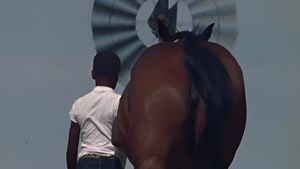 The Horse's poster