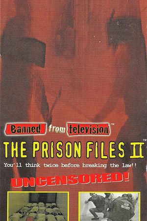 Banned from Television: Prison Files II's poster