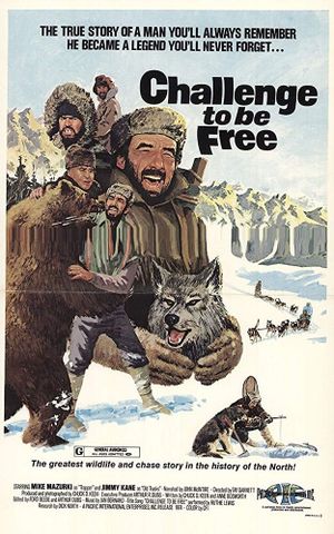 Challenge to Be Free's poster