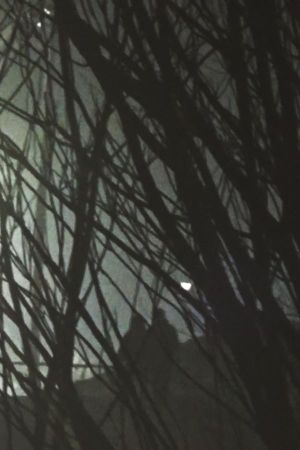 Winter Dream's poster