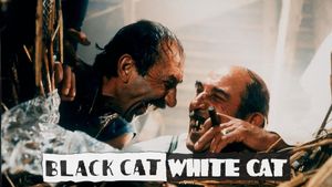 Black Cat, White Cat's poster