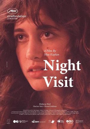 Night Visit's poster image