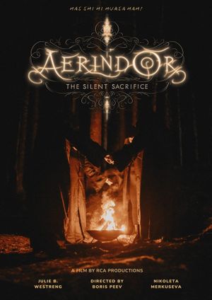 Aerindor: The silent sacrifice's poster