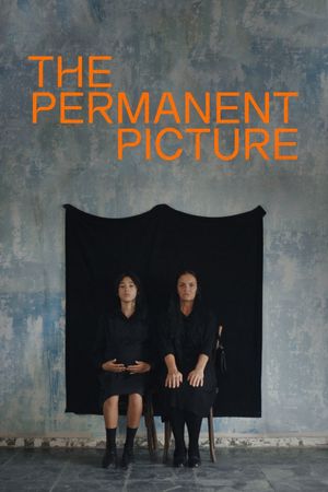 The Permanent Picture's poster