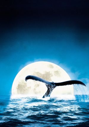 Deep Blue's poster