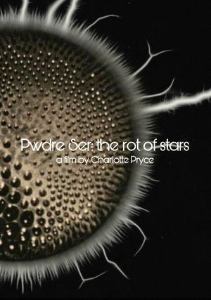 Pwdre Ser: the rot of stars's poster