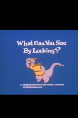 What Can You See by Looking?'s poster