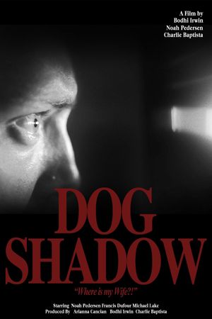 Dog Shadow's poster