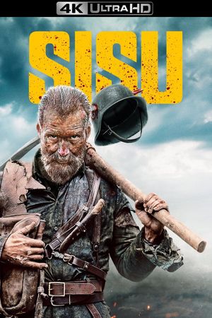 Sisu's poster