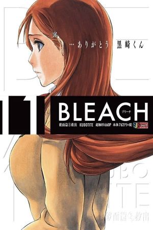 Bleach: Memories of Nobody's poster