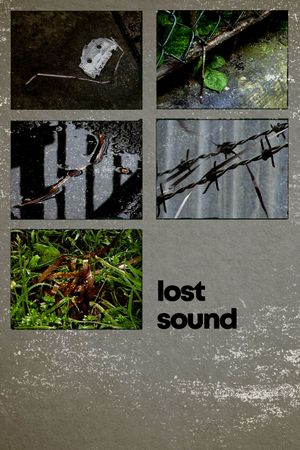 Lost Sound's poster