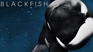 Blackfish's poster