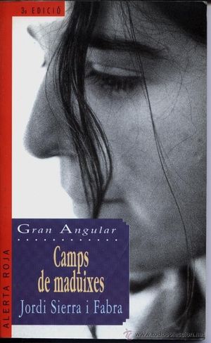 Camps de maduixes's poster