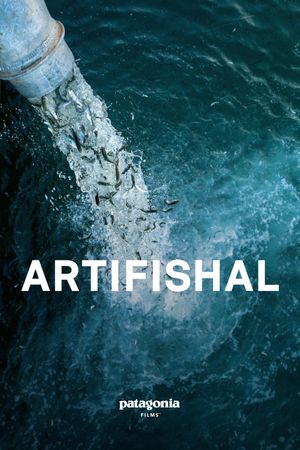 Artifishal's poster image