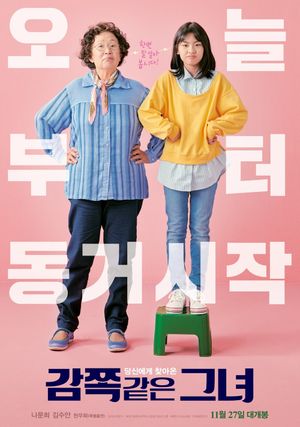 A Little Princess's poster