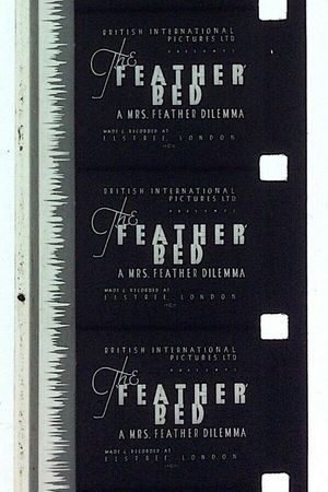 The 'Feather' Bed: A Mrs. Feather Dilemma's poster