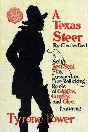 A Texas Steer's poster image