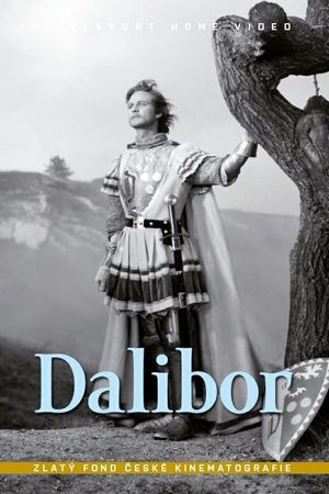 Dalibor's poster
