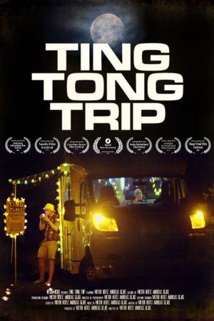 Mysko Disko: Ting Tong Trip's poster