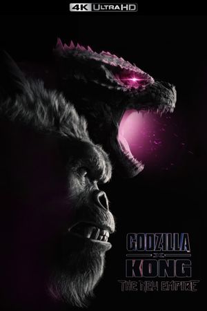 Godzilla x Kong: The New Empire's poster