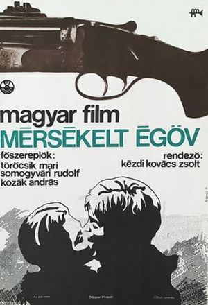 Temperate Zone's poster image