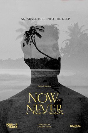 Now or Never's poster