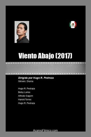 Viento Abajo's poster