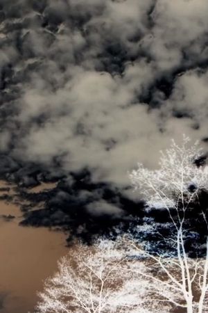 Clouds and Trees's poster