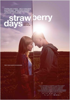 Strawberry Days's poster image