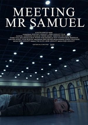 Meeting Mr Samuel's poster