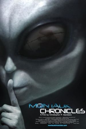 Montauk Chronicles's poster