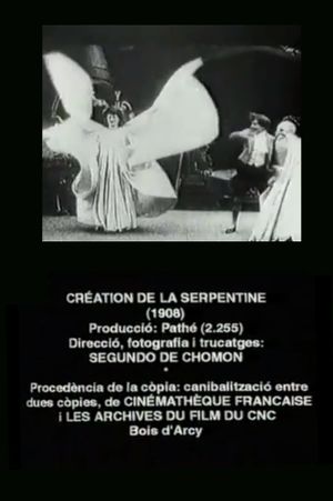 Beginning of the Serpentine Dance's poster