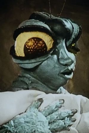 In the Spider's Grip's poster