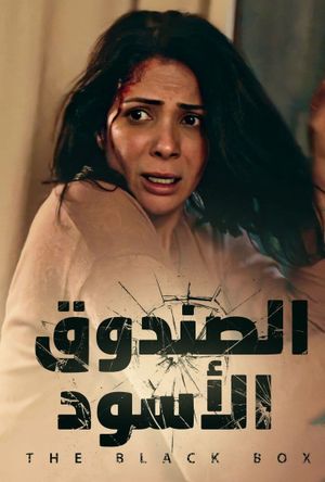 El-Sandooq el-Aswad's poster