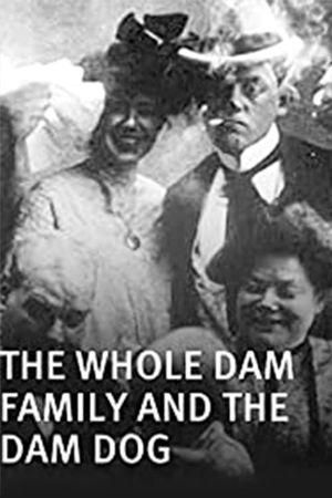 I.B. Dam and the Whole Dam Family's poster