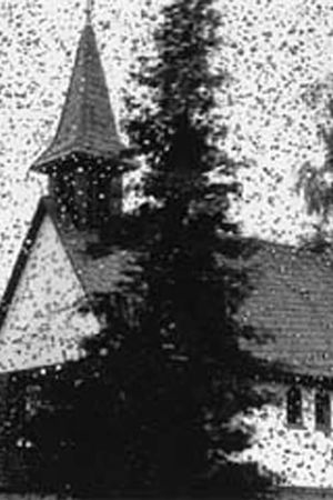 Landscape's poster