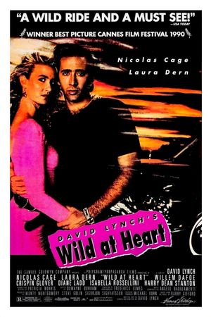 Wild at Heart's poster