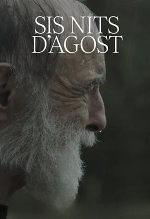 Sis nits d'agost's poster