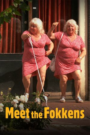 Meet the Fokkens's poster