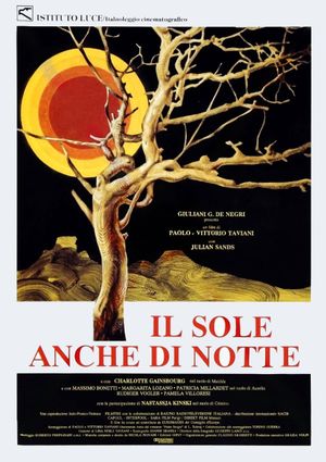 Night Sun's poster