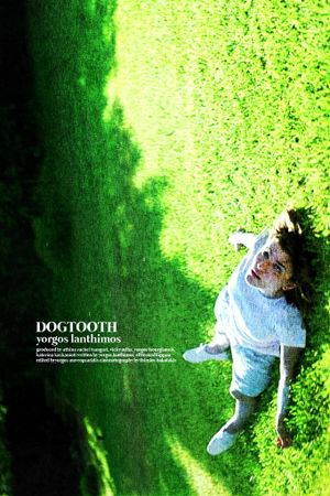 Dogtooth's poster